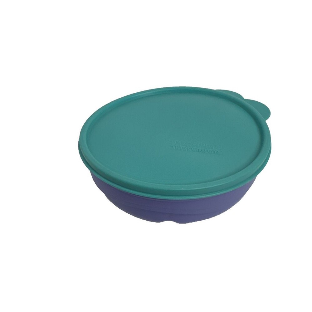 Tupperware Munch Kids Teal and Purple Divided Dish Plate with Lid
